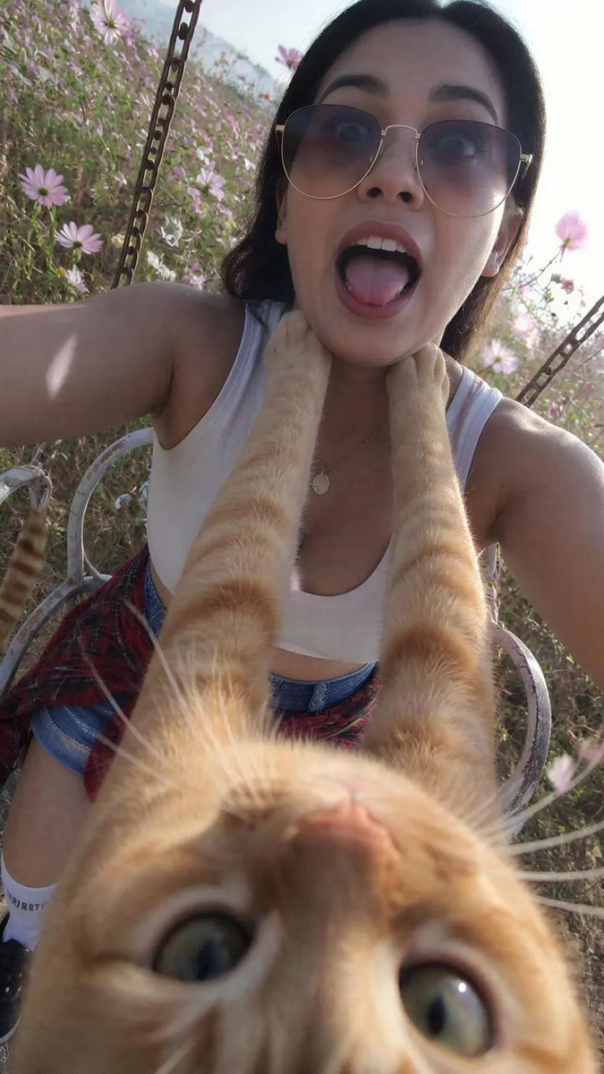 A Funny Pov Selfie Taken Upside Down By an Orange Tabby Cat